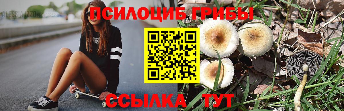 Галлюциногенные грибы GOLDEN TEACHER Воскресенск
