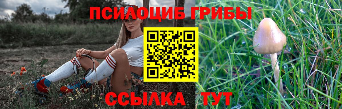 Галлюциногенные грибы GOLDEN TEACHER  Вход с VPN  Воскресенск 